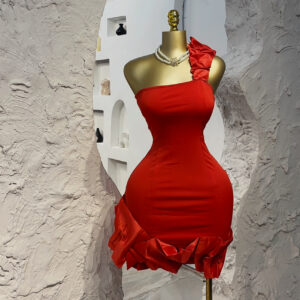 LADY VEE CHIC DRESS